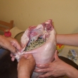 dscf7963