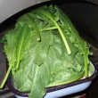 dscf7977