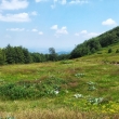 20130727_124526