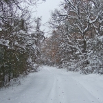 dscf7857