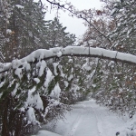 dscf7858