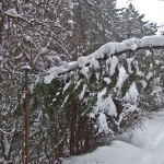 dscf7859