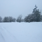 dscf7863