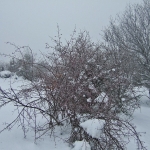 dscf7864