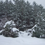 dscf7865