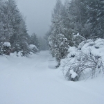 dscf7866