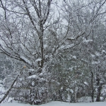 dscf7867