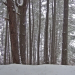 dscf7869
