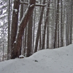 dscf7870