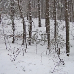 dscf7872