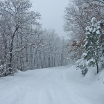 dscf7878