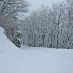 dscf7879