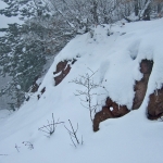 dscf7880