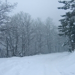 dscf7881