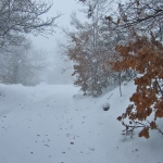 dscf7882