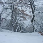 dscf7884
