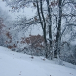 dscf7885