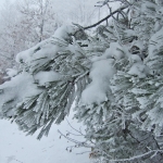 dscf7886