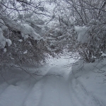 dscf7888