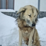 dscf7897