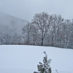dscf7909