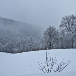 dscf7910