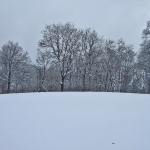 dscf7912