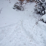 dscf7915