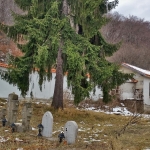 20181208_140109_31323519857_o