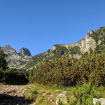 IMG_20200822_090035
