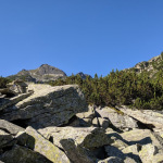 IMG_20200822_093844