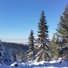 20160123_143726_24499468011_o