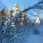 20160123_164557_24286274060_o