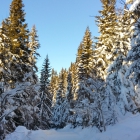 20160123_165347_24286278980_o